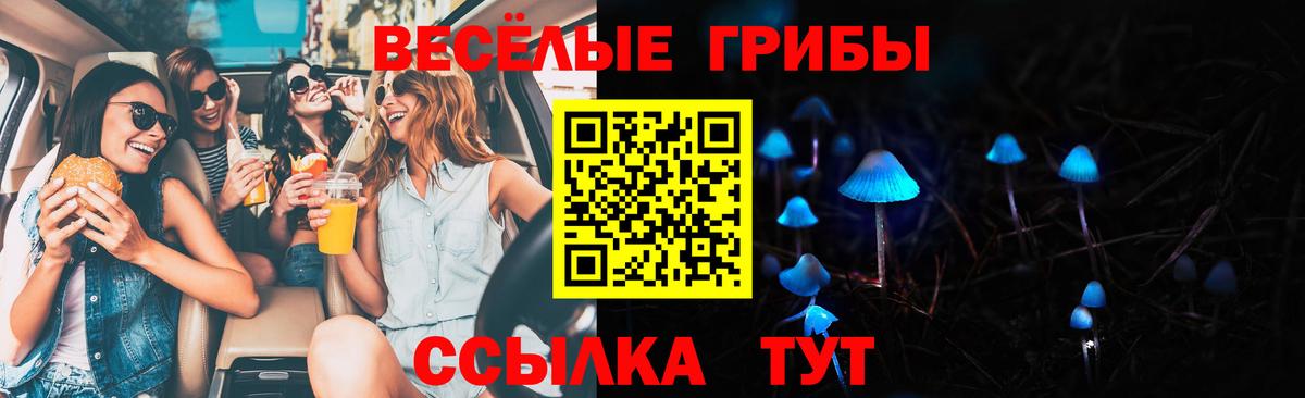 Псилоцибиновые грибы ЛСД  Вход с VPN  магазин  наркотиков  Красноармейск 